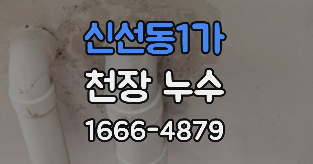 신선동1가 천장 누수