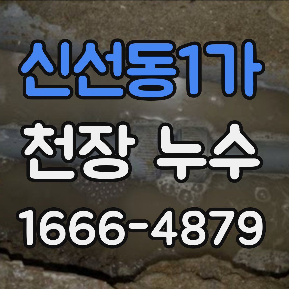신선동1가 천장 누수