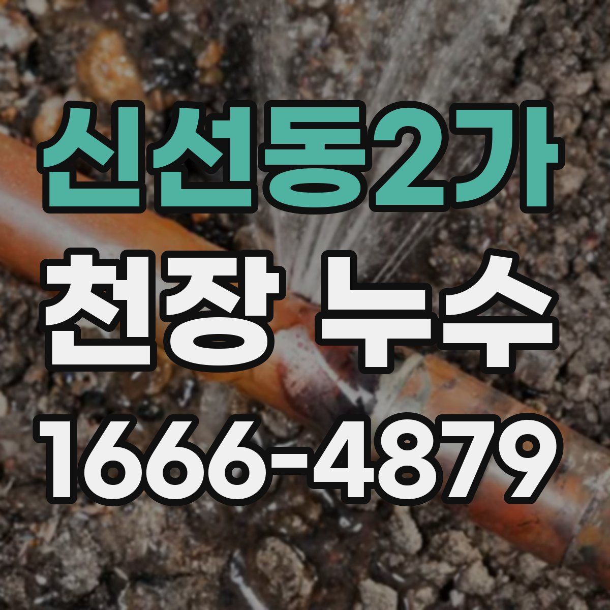 신선동2가 천장 누수