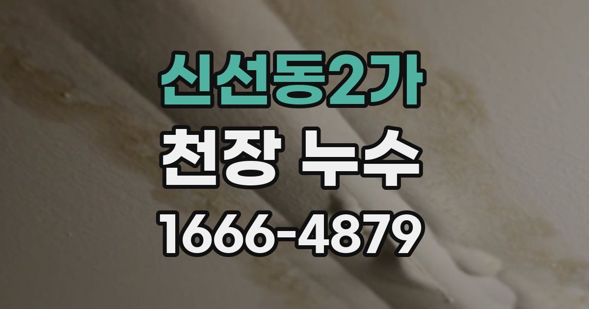 신선동2가 천장 누수