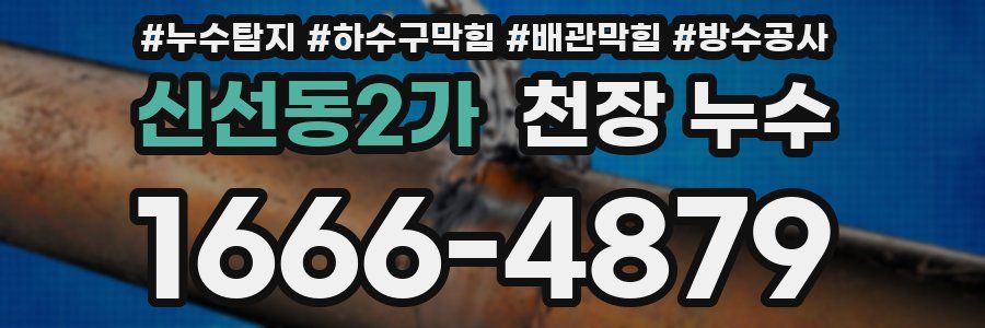 신선동2가 천장 누수