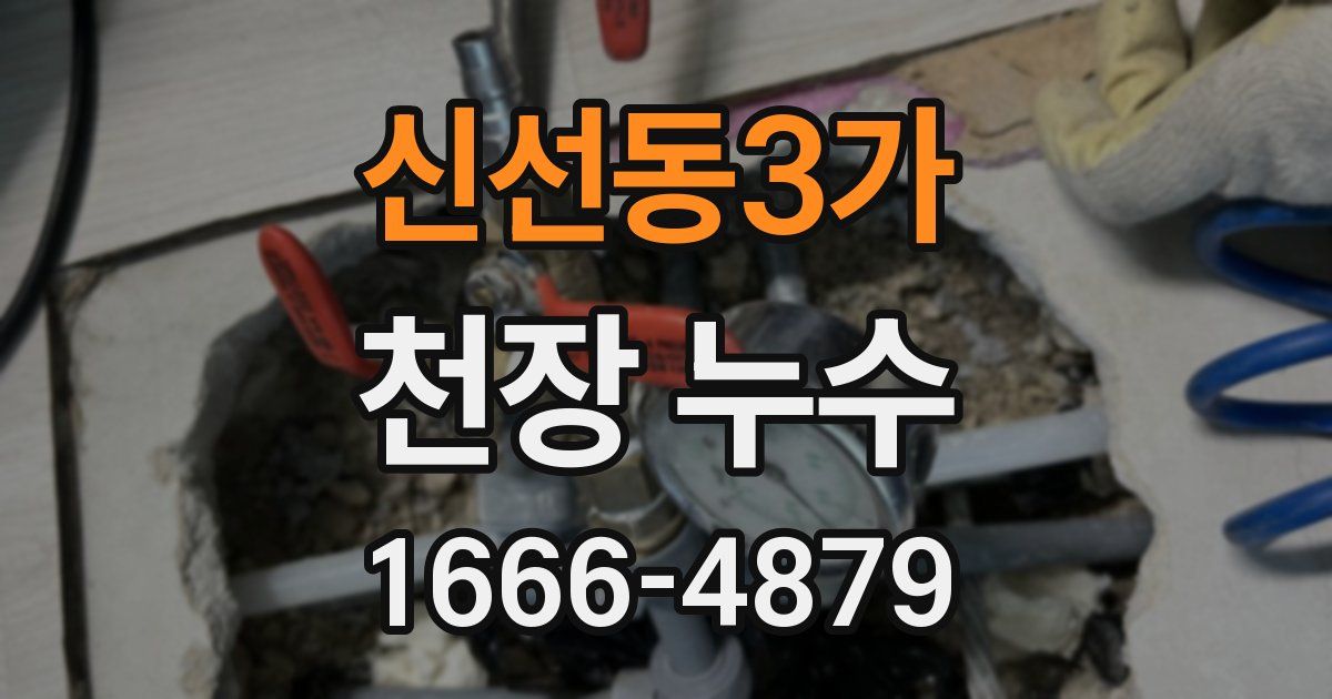 신선동3가 천장 누수