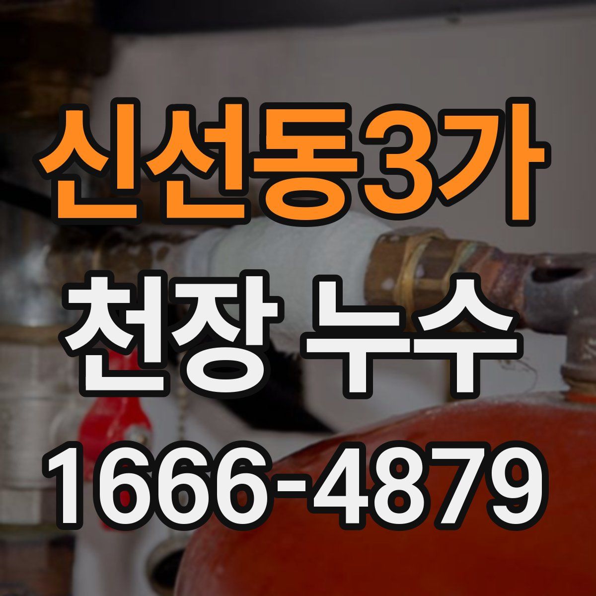 신선동3가 천장 누수