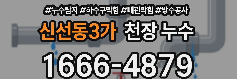 신선동3가 천장 누수