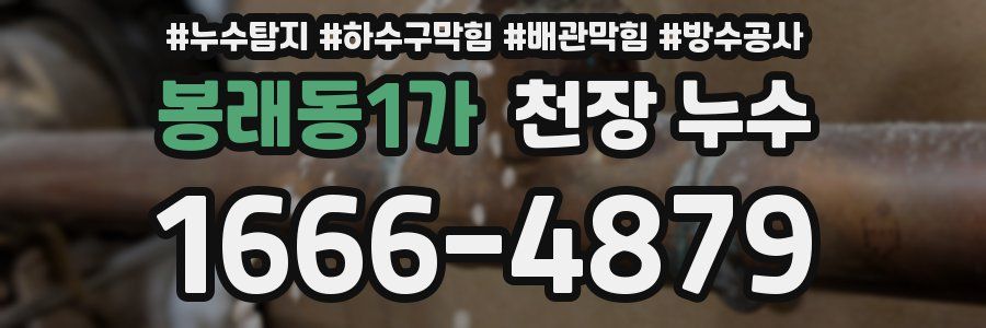 봉래동1가 천장 누수