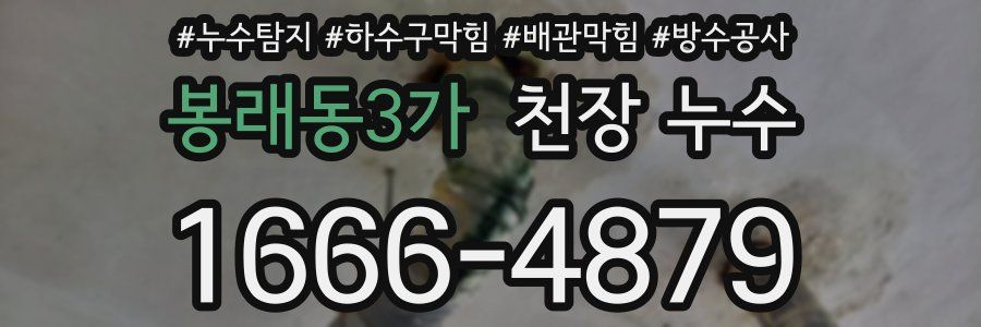 봉래동3가 천장 누수