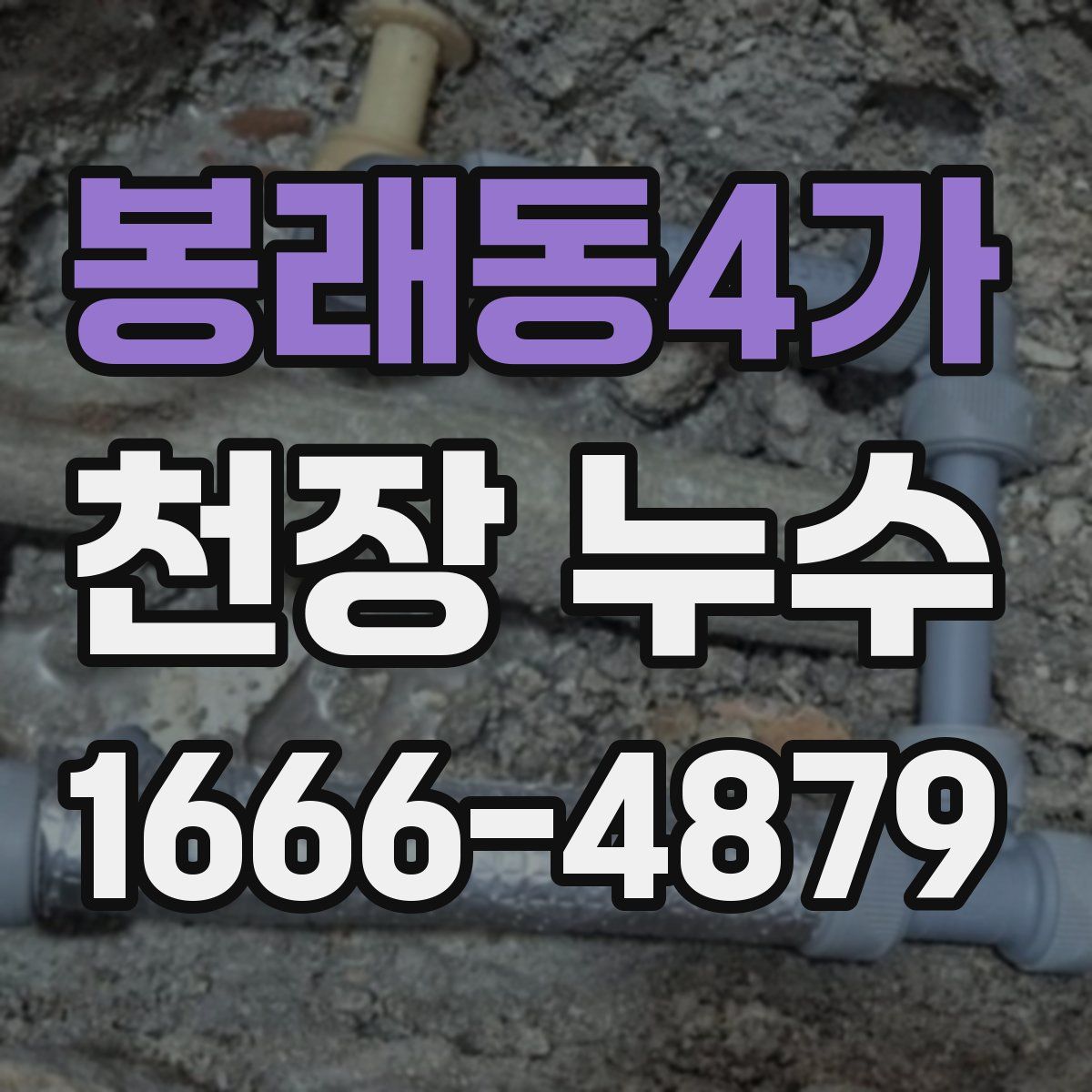 봉래동4가 천장 누수