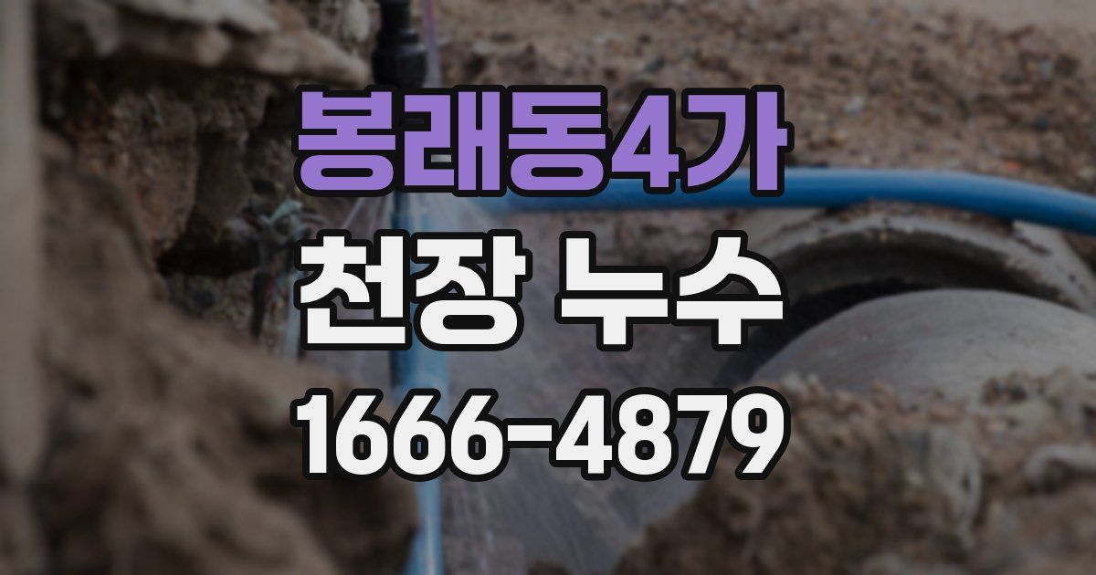 봉래동4가 천장 누수