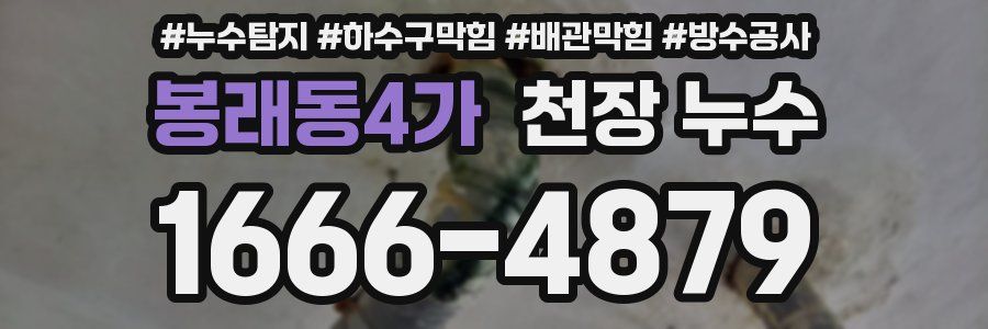 봉래동4가 천장 누수