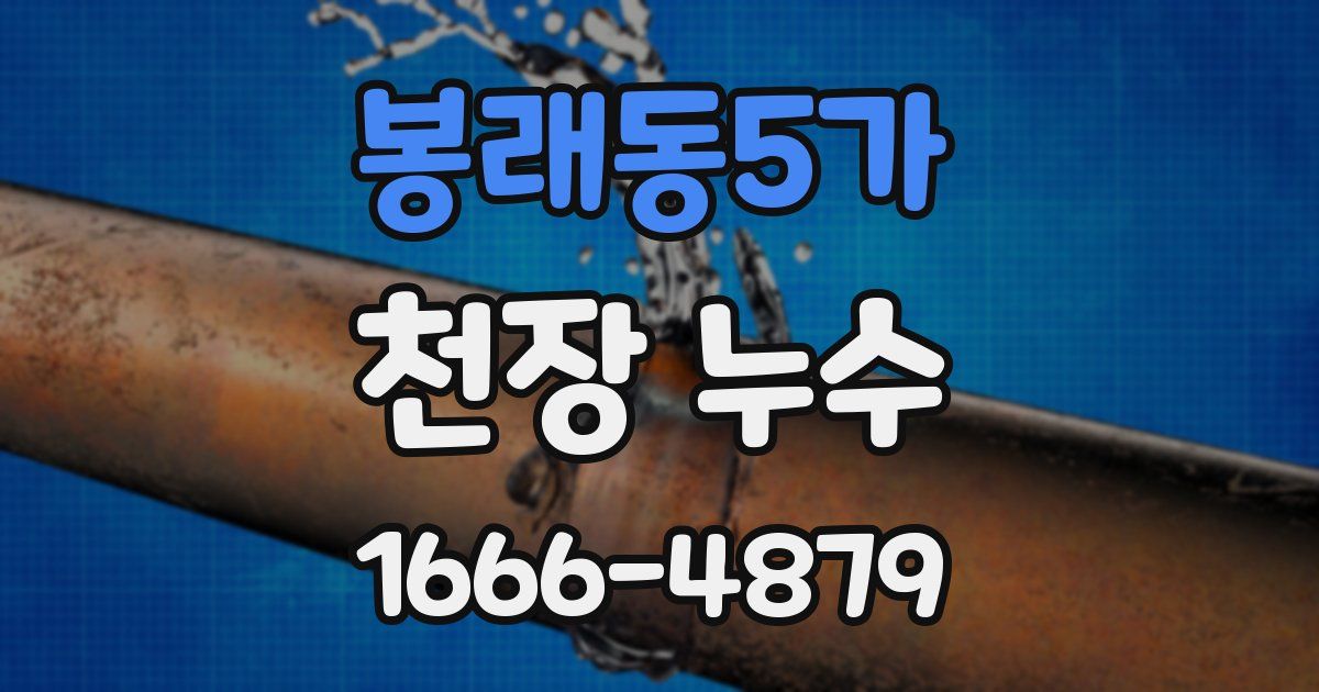 봉래동5가 천장 누수