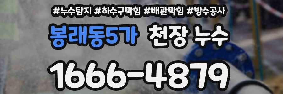 봉래동5가 천장 누수