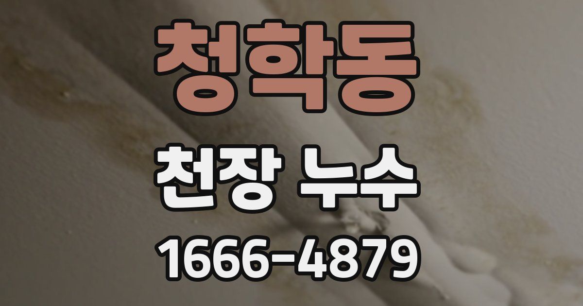 청학동 천장 누수