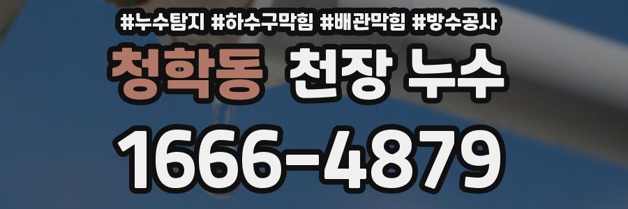 청학동 천장 누수
