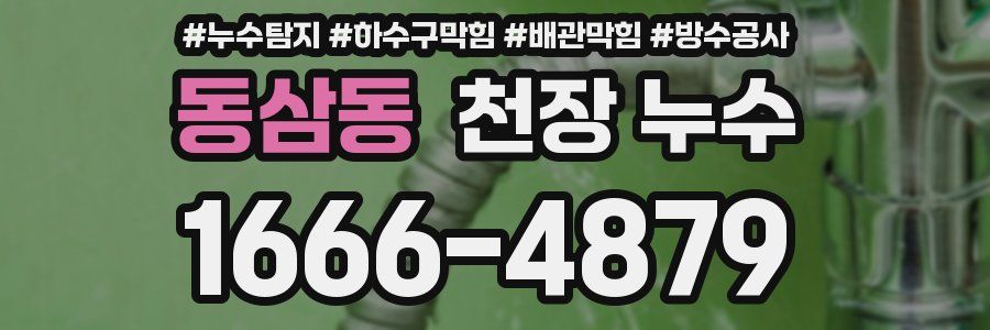 동삼동 천장 누수