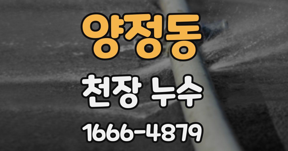 양정동 천장 누수