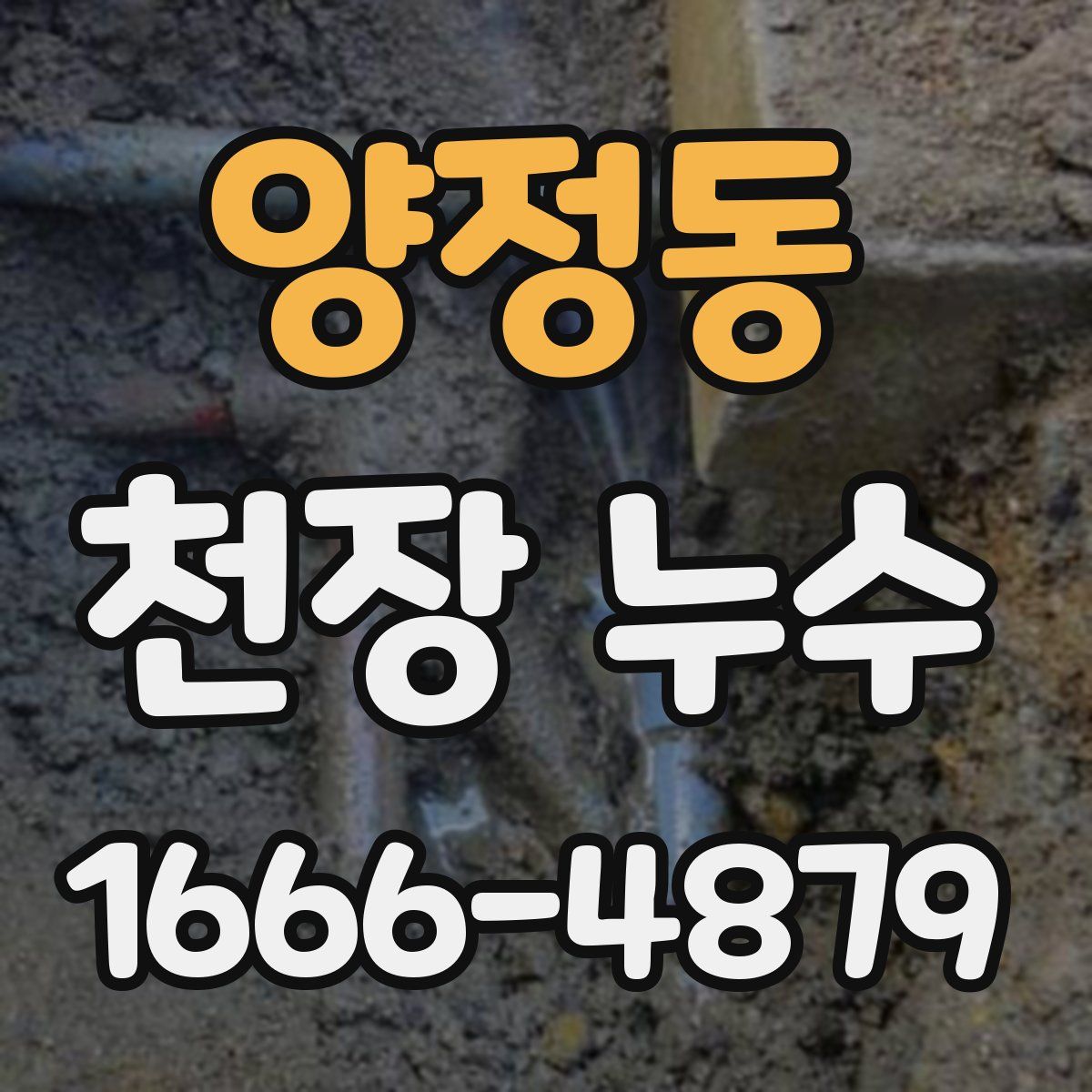 양정동 천장 누수