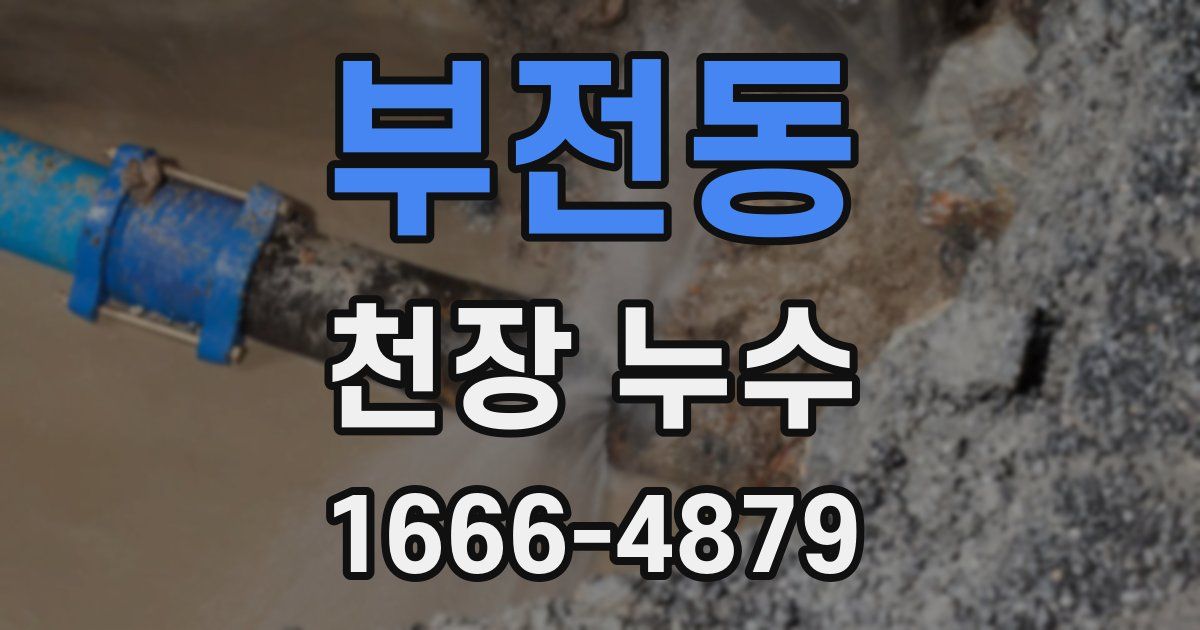 부전동 천장 누수