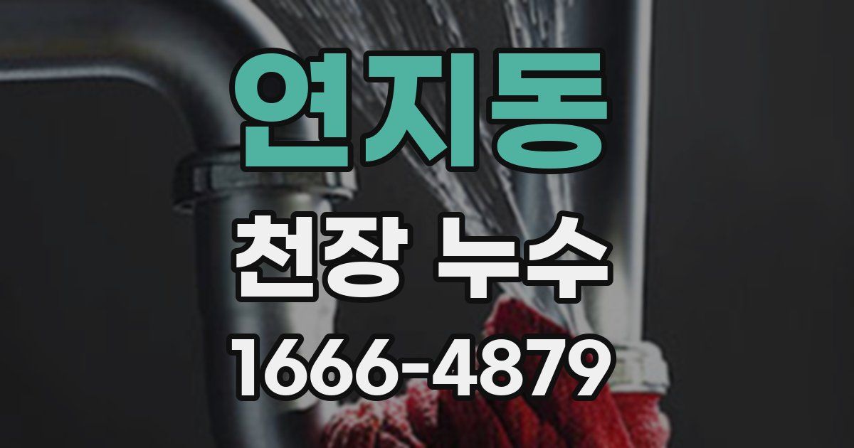 연지동 천장 누수