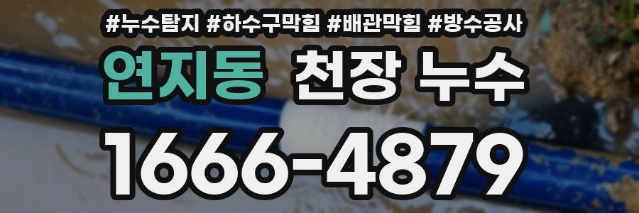 연지동 천장 누수