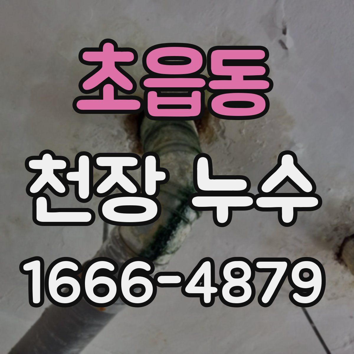 초읍동 천장 누수
