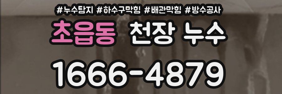 초읍동 천장 누수