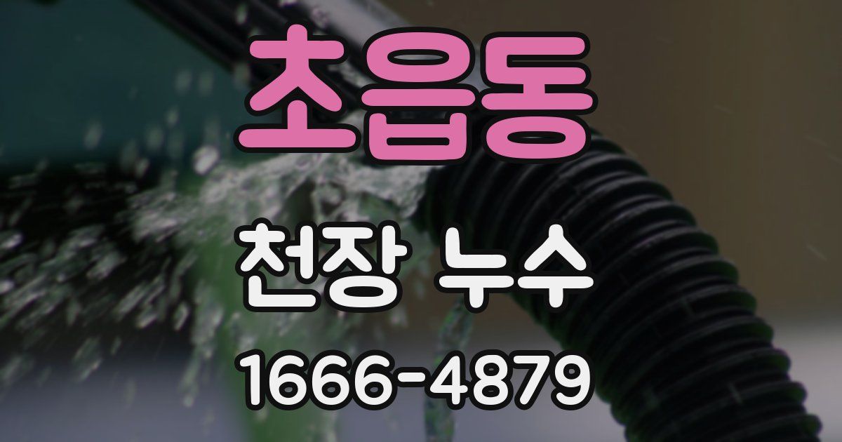 초읍동 천장 누수