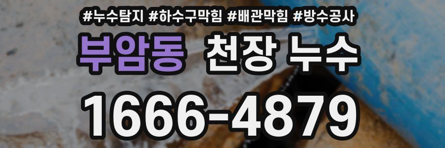 부암동 천장 누수