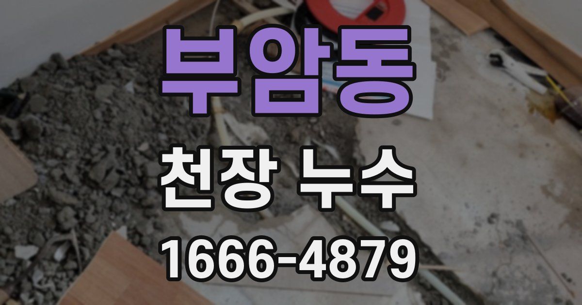 부암동 천장 누수