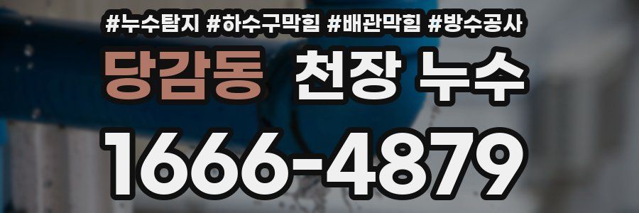 당감동 천장 누수