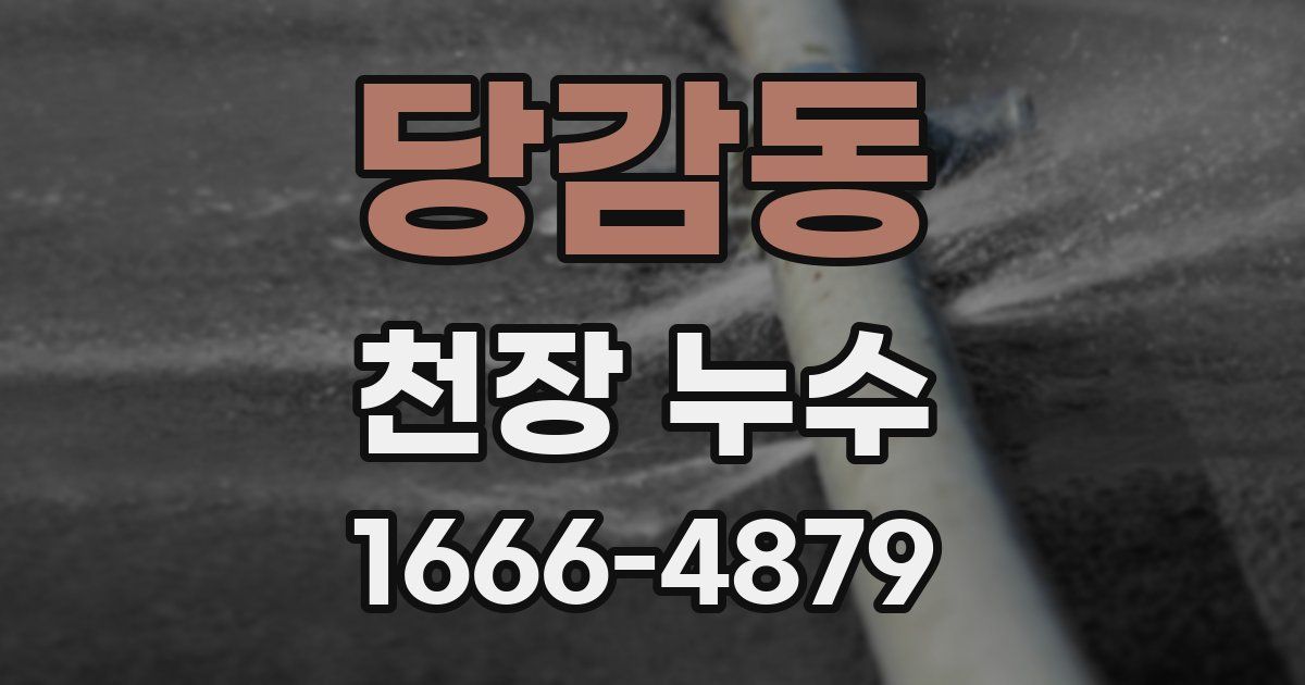 당감동 천장 누수