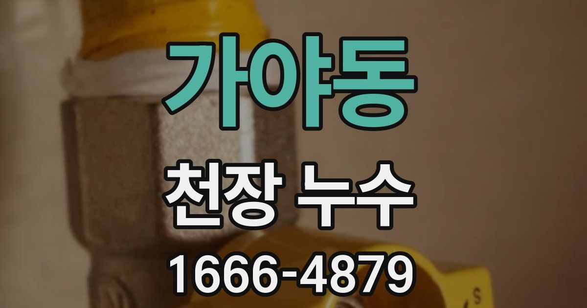 가야동 천장 누수