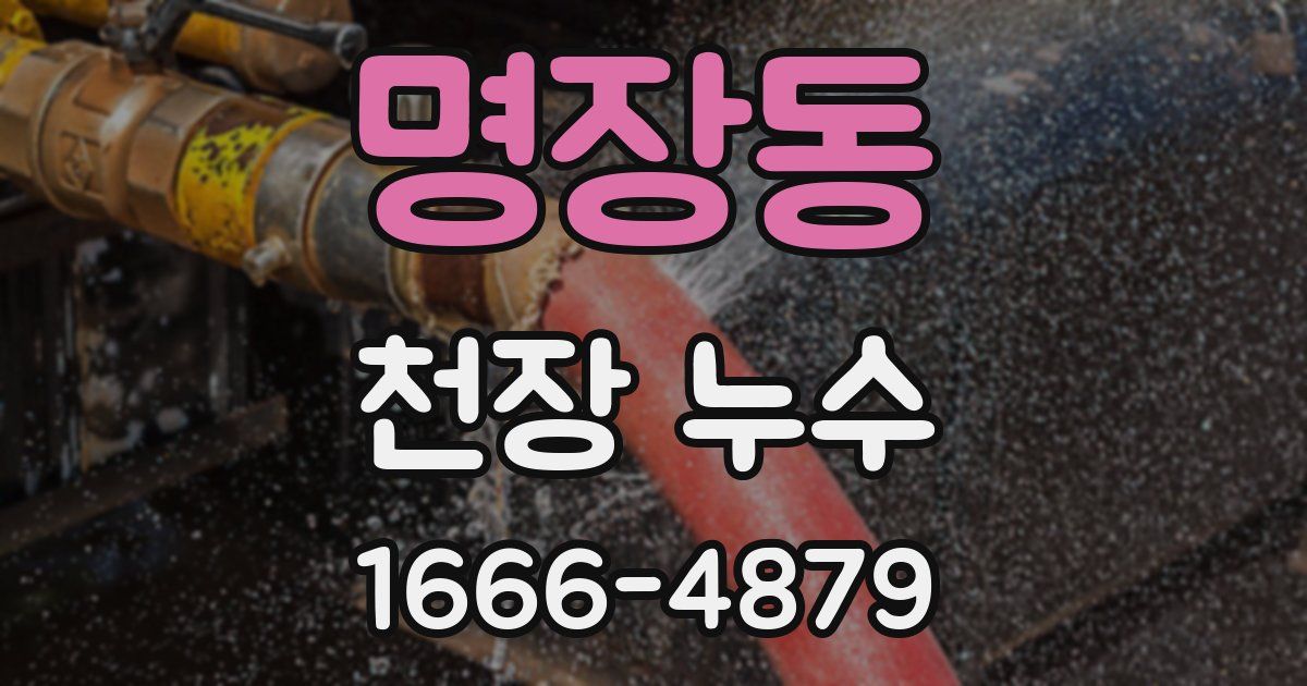 명장동 천장 누수