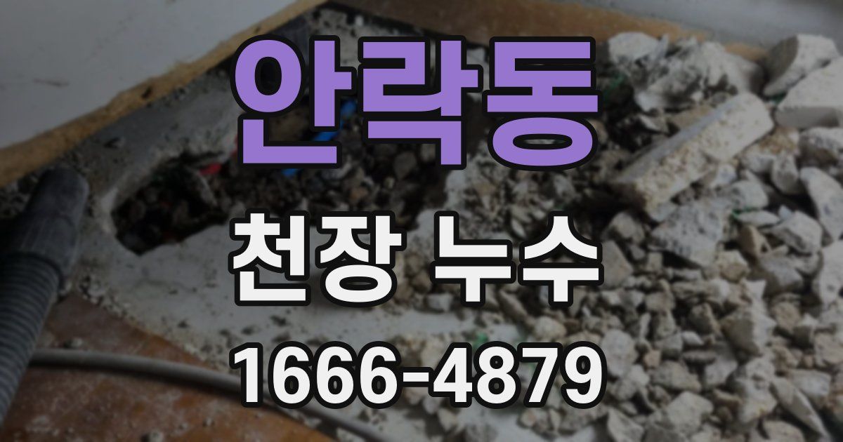 안락동 천장 누수