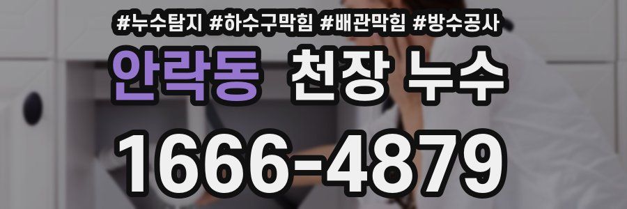 안락동 천장 누수