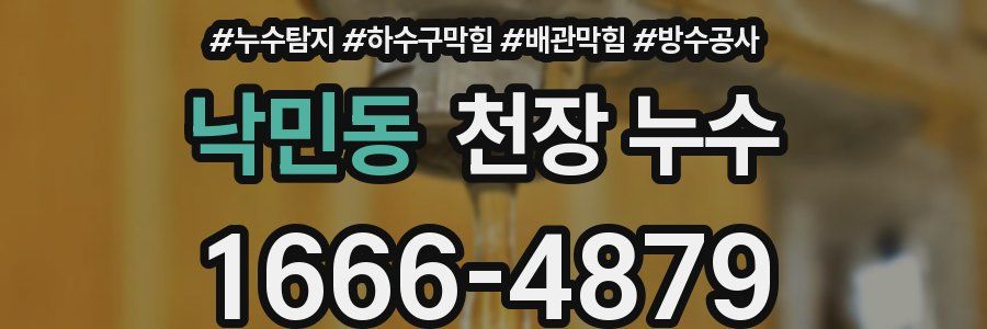 낙민동 천장 누수