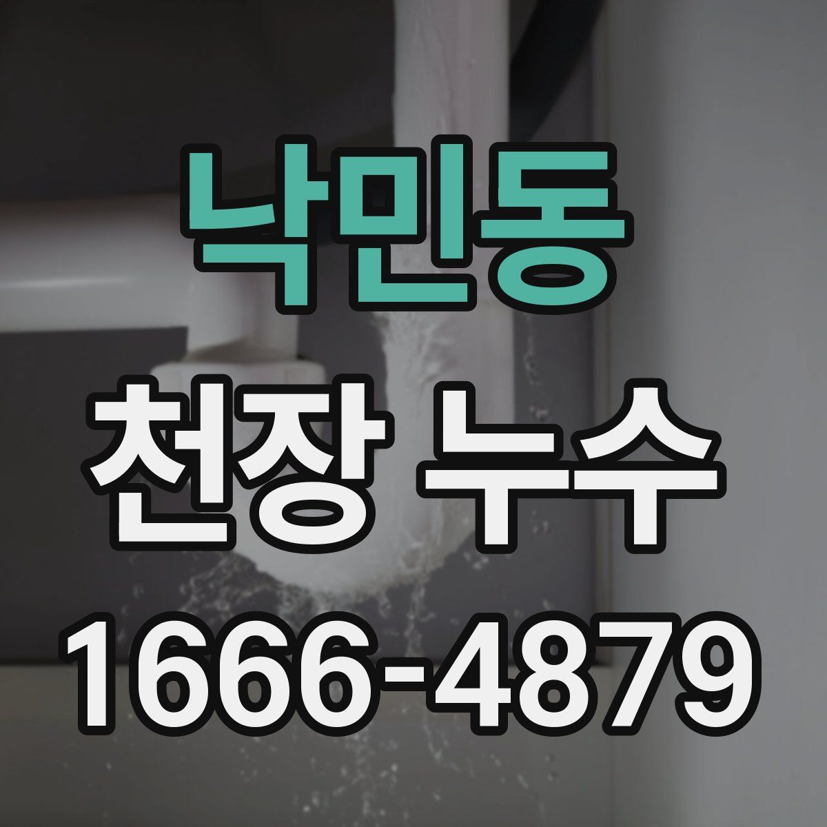 낙민동 천장 누수