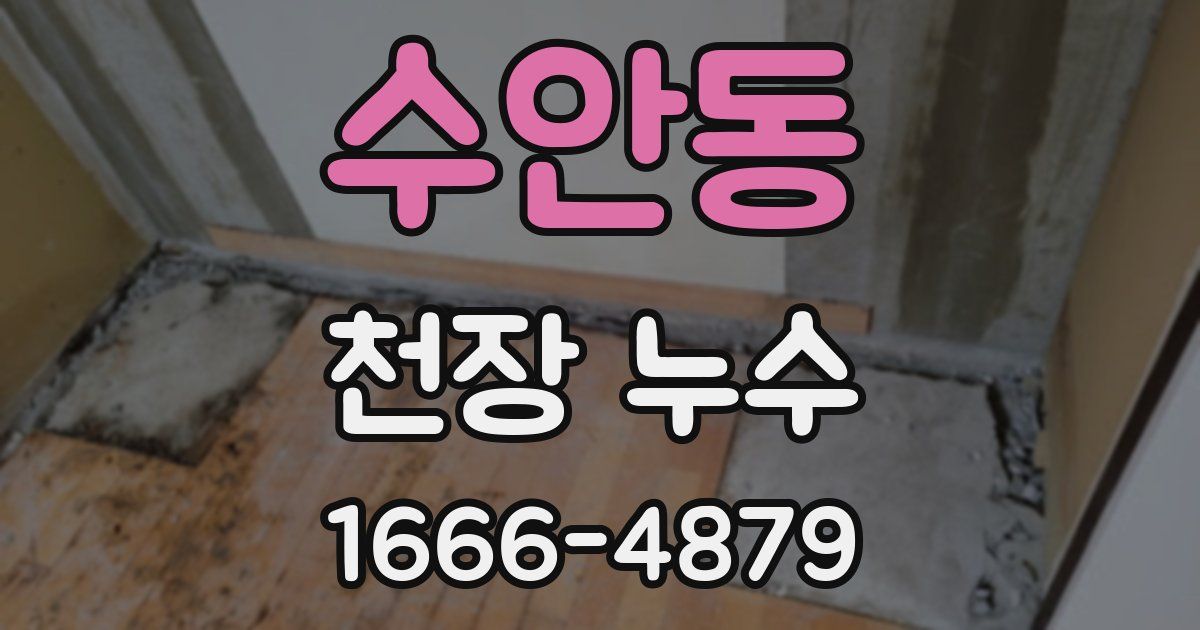 수안동 천장 누수