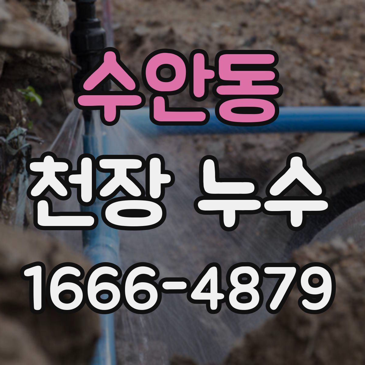 수안동 천장 누수