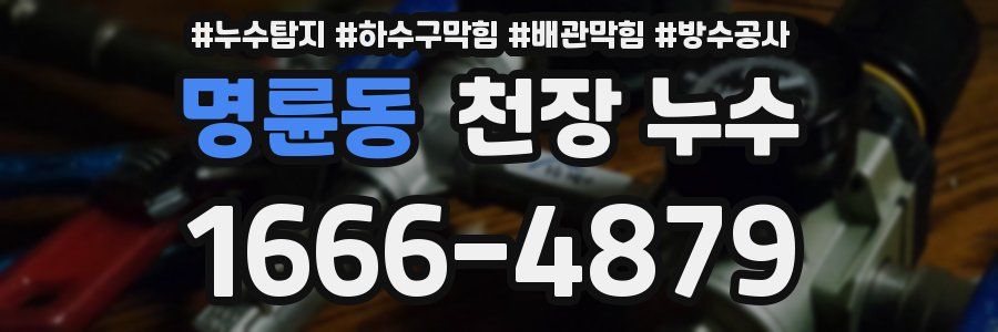 명륜동 천장 누수