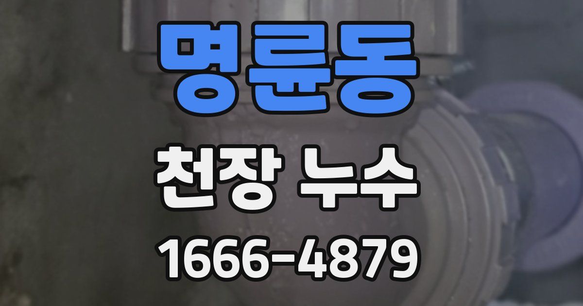 명륜동 천장 누수