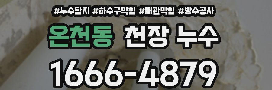 온천동 천장 누수