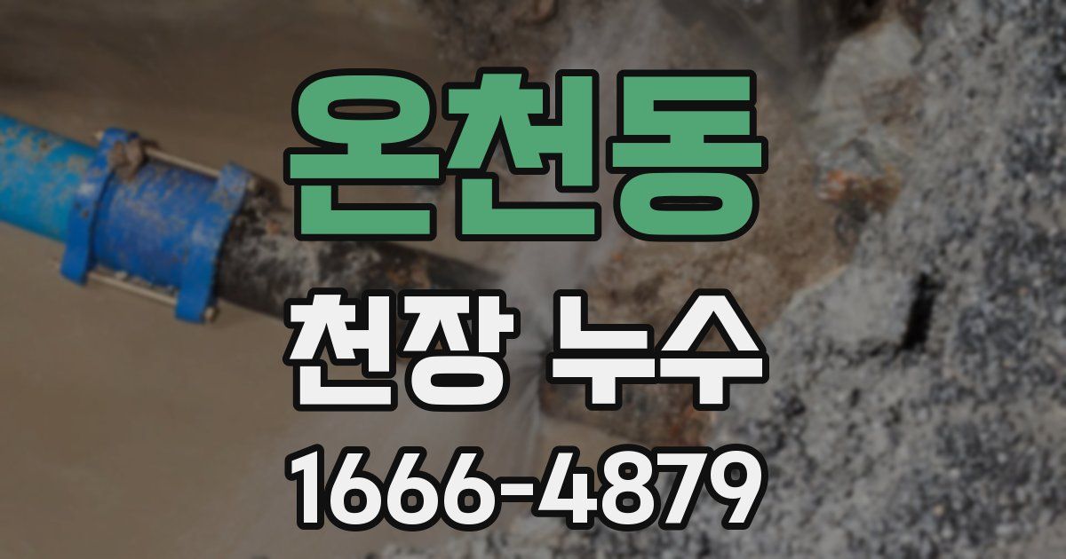 온천동 천장 누수