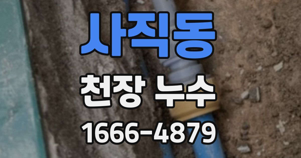 사직동 천장 누수