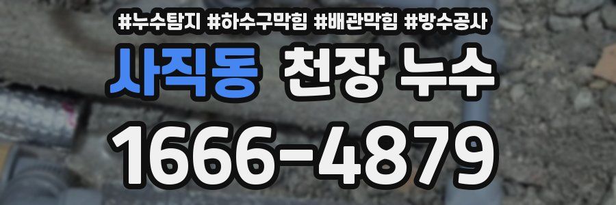 사직동 천장 누수