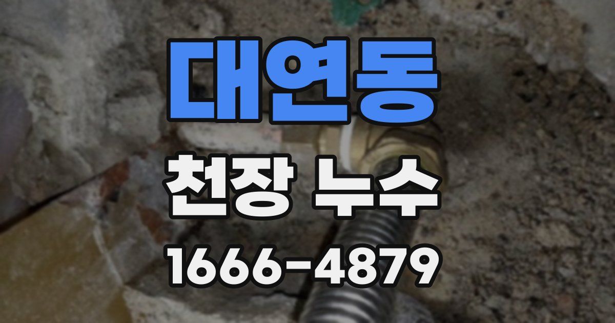 대연동 천장 누수