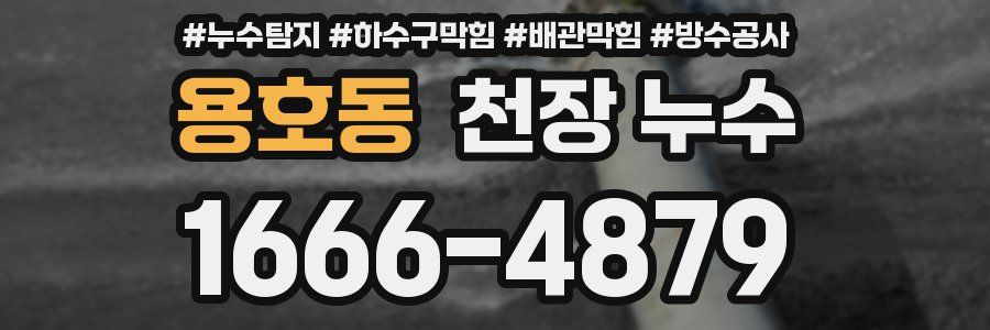 용호동 천장 누수