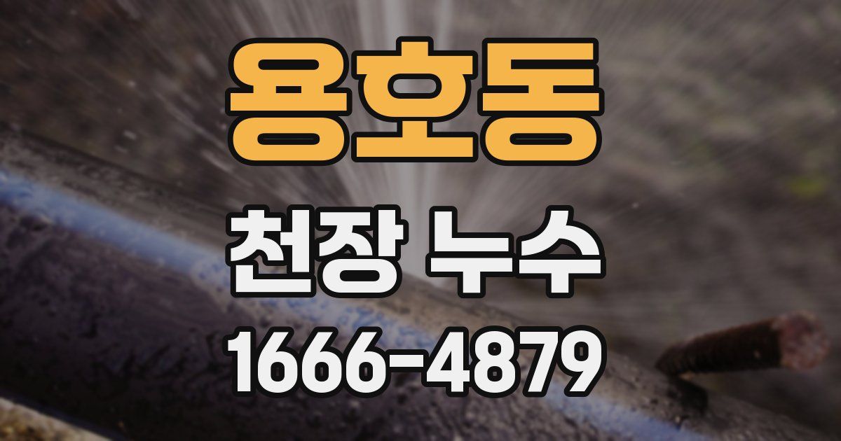 용호동 천장 누수