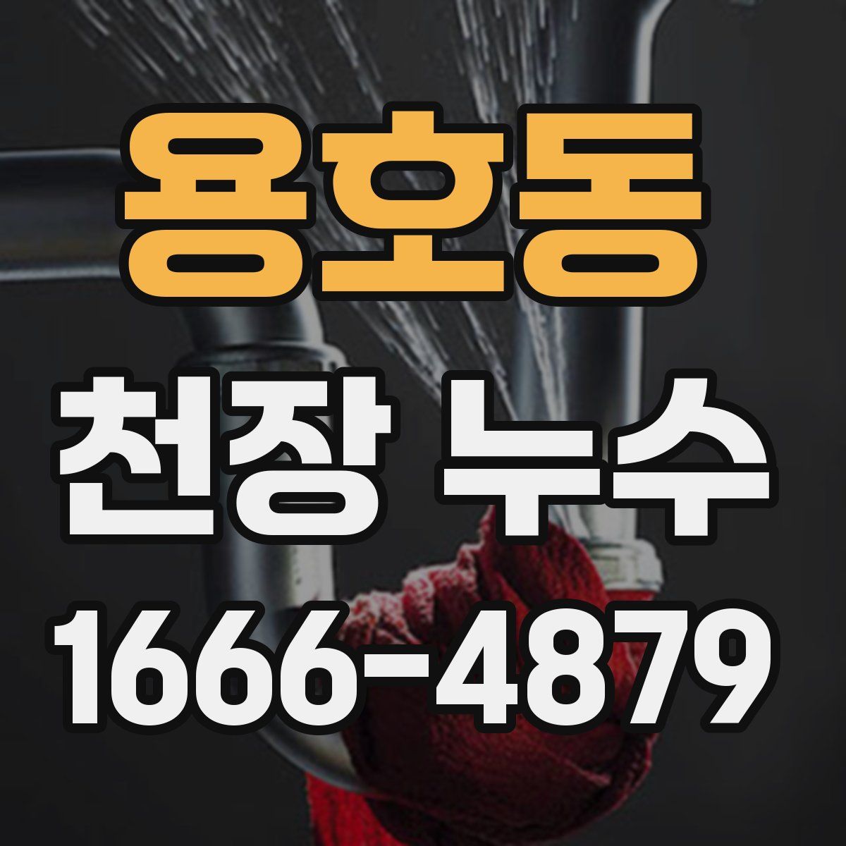 용호동 천장 누수