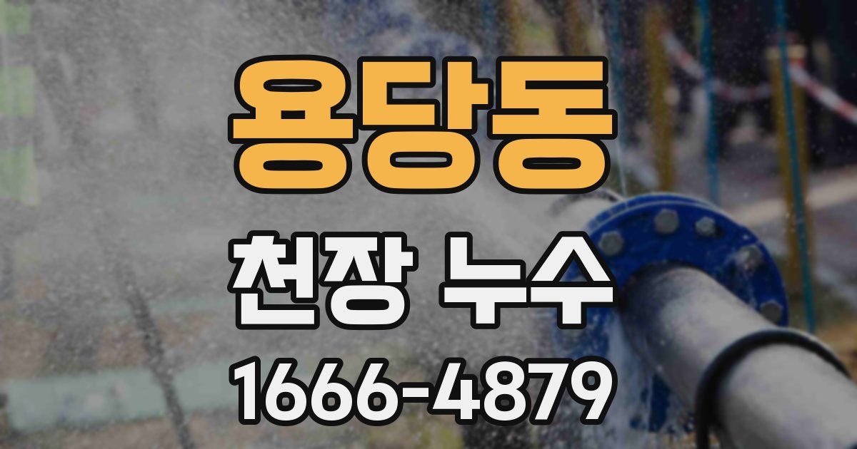 용당동 천장 누수