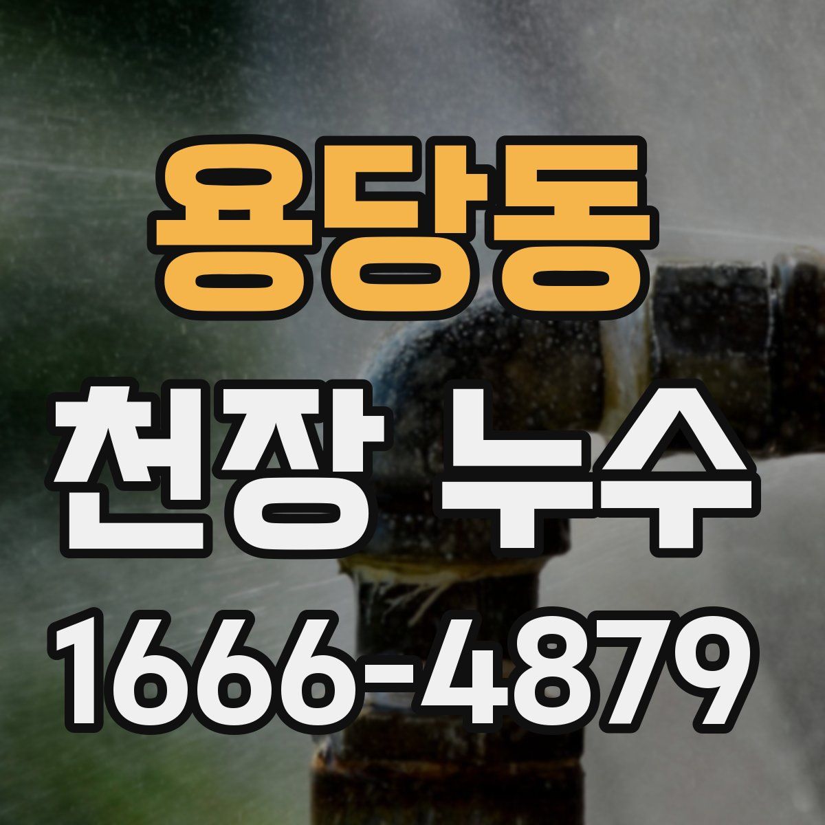 용당동 천장 누수